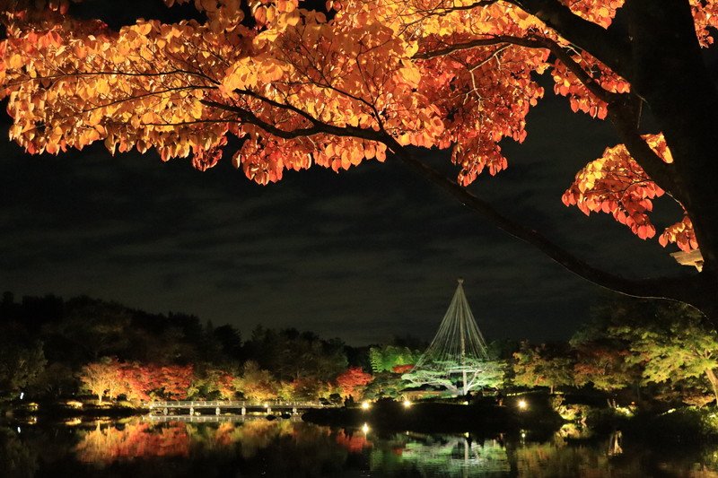 水面に映る紅葉も美しいライトアップされた日本庭園