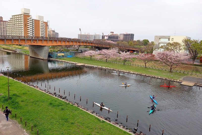 水と緑を満喫できる「大島小松川公園」