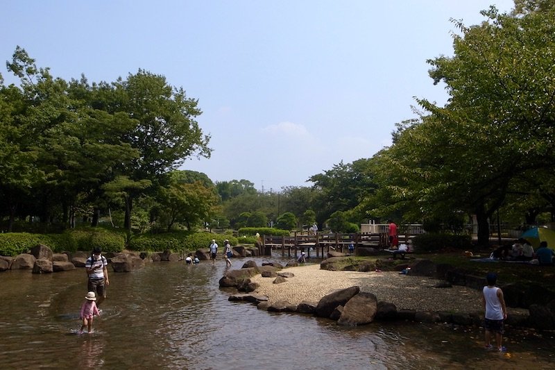 保育園や自然環境が充実♪江戸川区平井周辺の子育て環境をご紹介します！