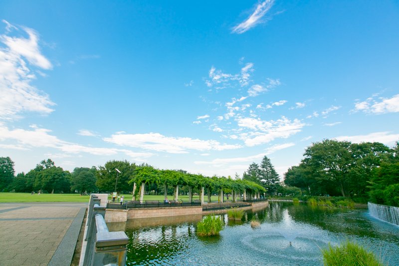 緑豊かな「都立武蔵国分寺公園」