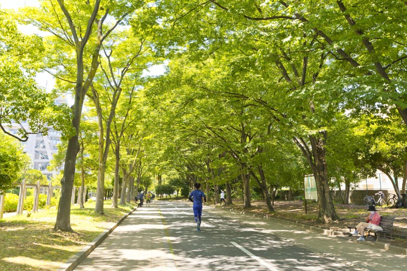 緑豊かな「仙台堀川公園」