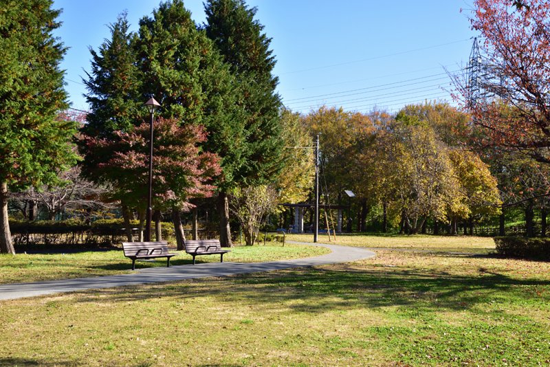 近くの「武蔵野公園」で園の行事を開催