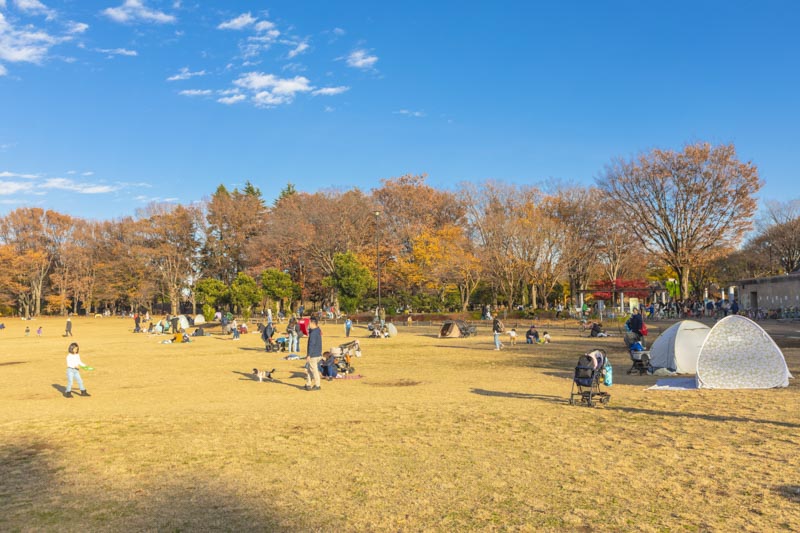 開放的な風景が心地よい「都立小金井公園」