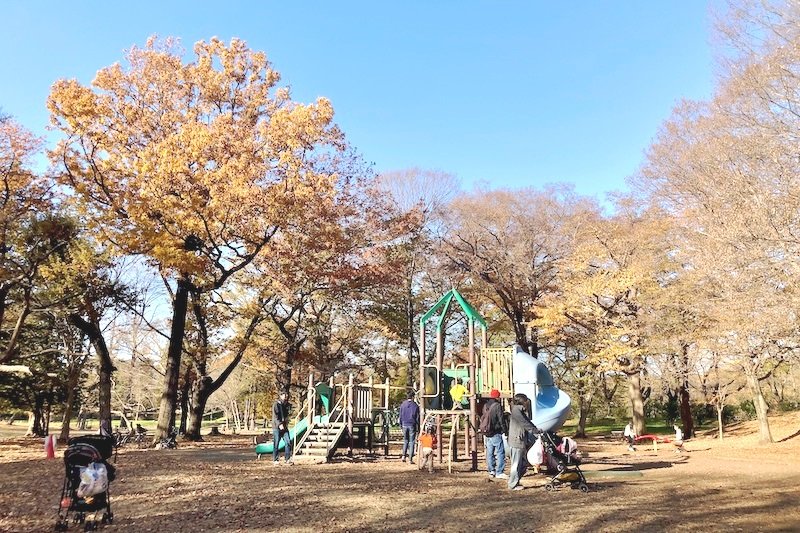 広大な公園が複数あり、私立の学校も多い文教エリア！「武蔵小金井」駅周辺の子育て環境レポート