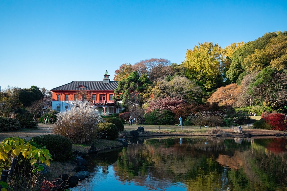 四季の風景が美しい「小石川植物園」