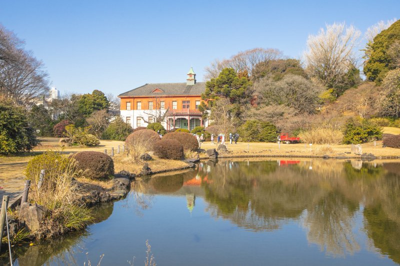 四季折々の自然で溢れる「小石川植物園」
