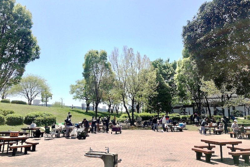 「汐入公園」の自然豊かな芝生広場