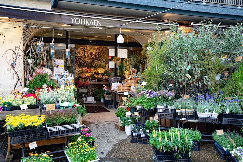 植物園を思わせるような店内が印象的な「ユー花園 下北沢本店」