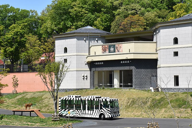 リニューアルしたライオンバスステーション　「（公財）東京動物園協会」提供