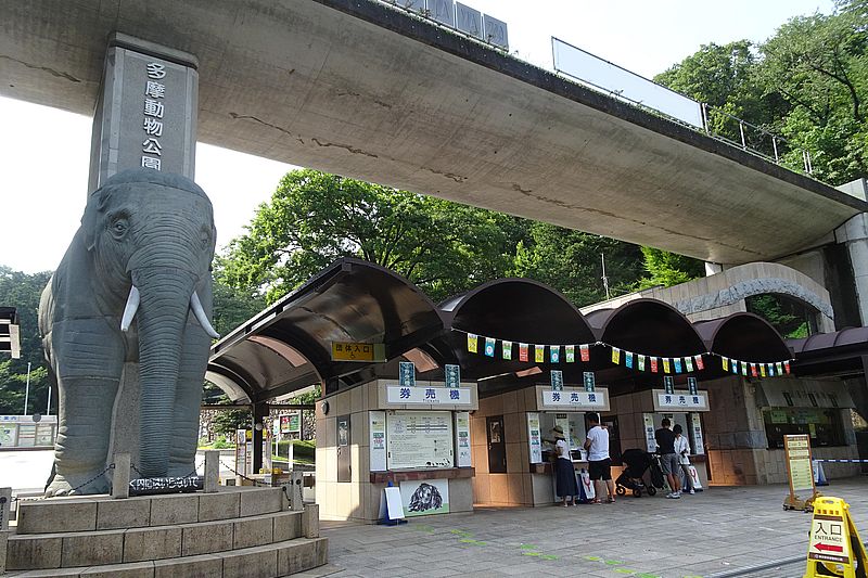 正門では大きなゾウが出迎えてくれる　「（公財）東京動物園協会」提供