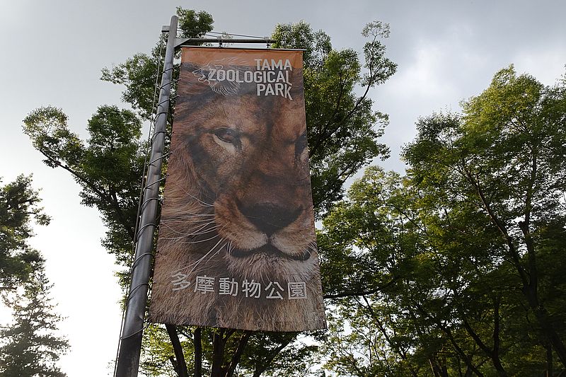 多摩動物公園のマークにもなっているライオン