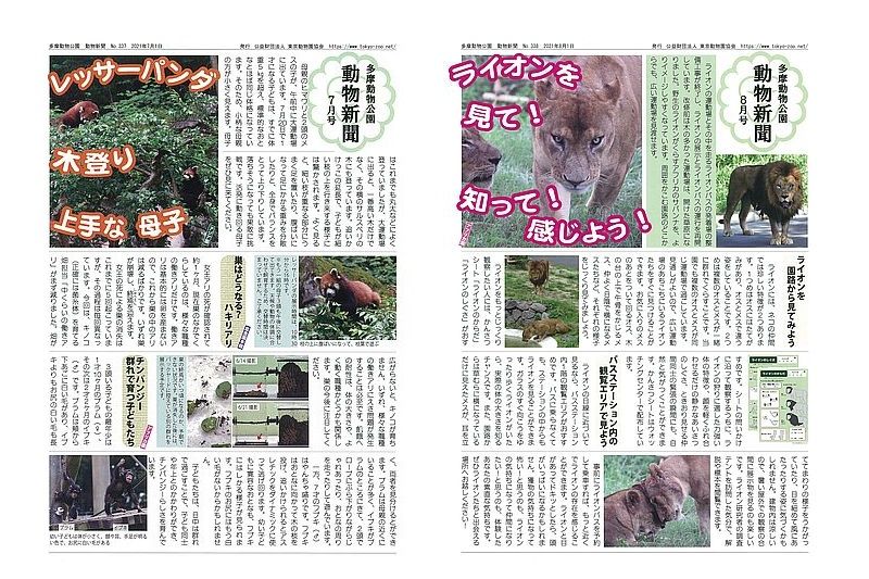 動物の見どころニュース『多摩動物公園　動物新聞』　「（公財）東京動物園協会」提供