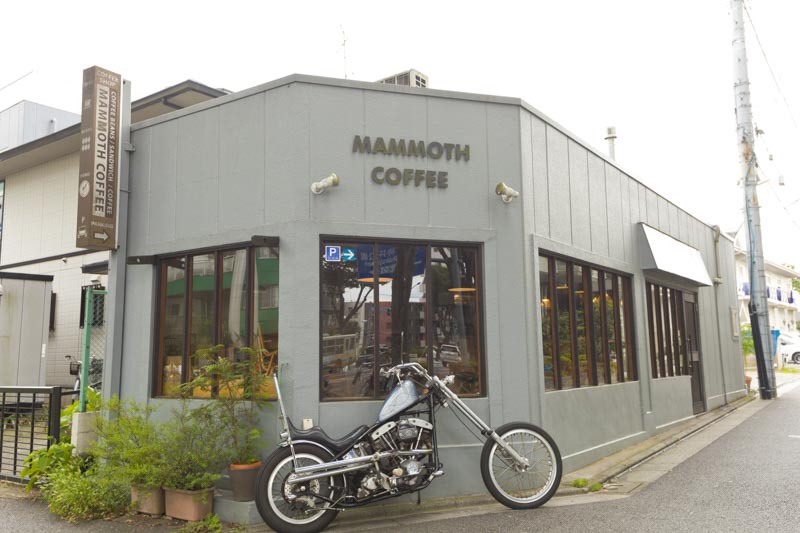 MAMMOTH COFFEE
